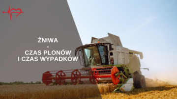 zniwa-1024x576-1